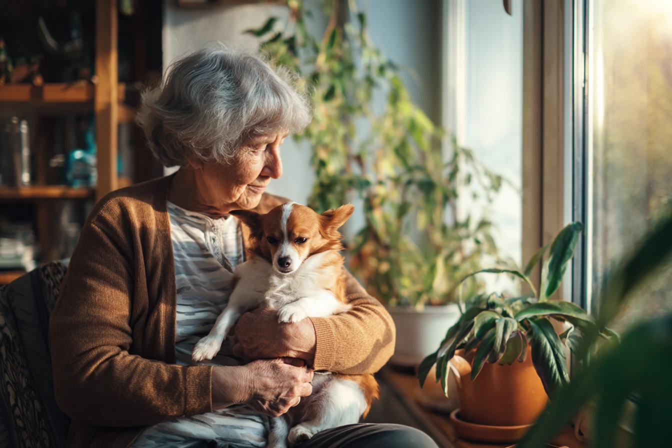 Animal Welfare — защита на животните